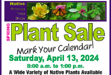 2024 Spring Plant Sale