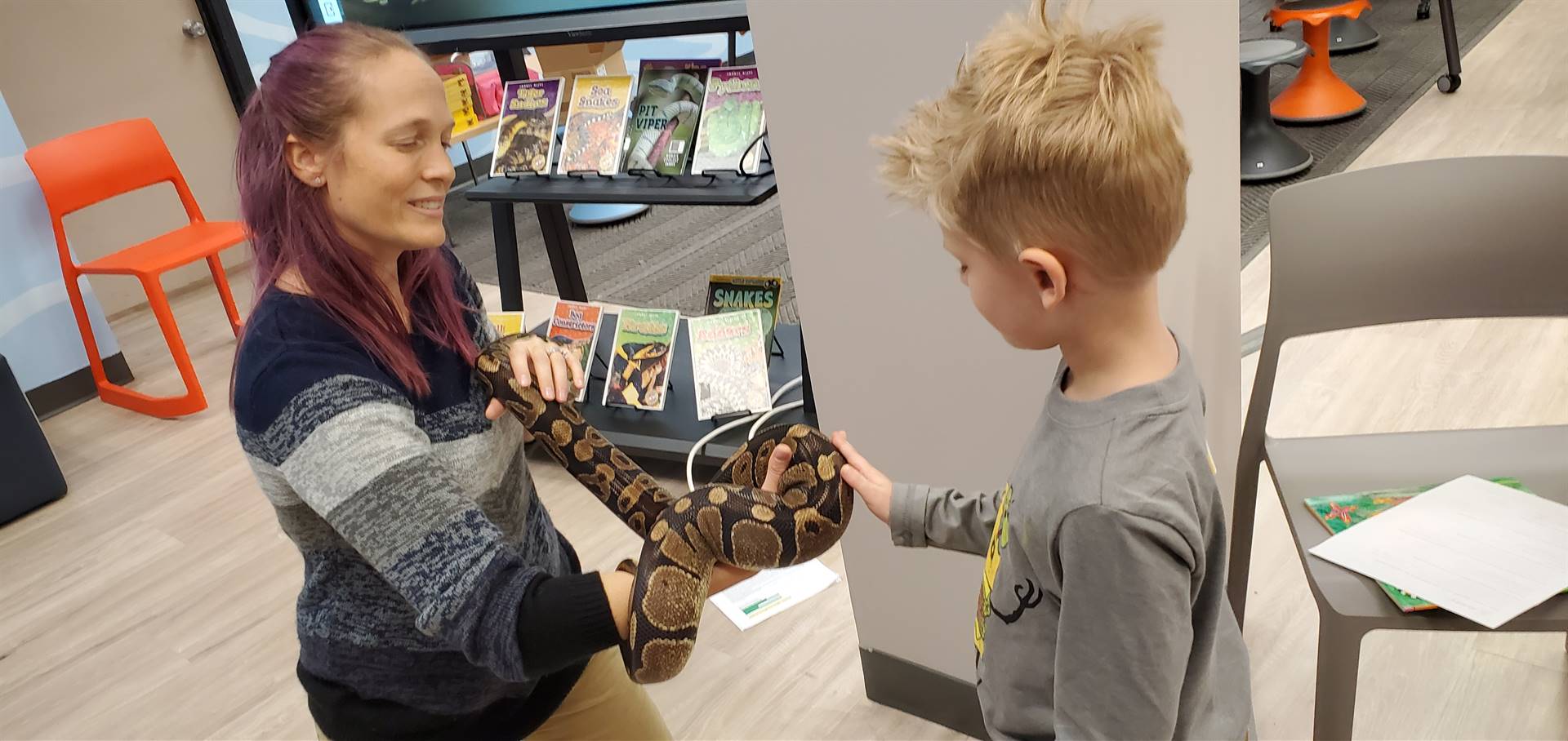 young boy petting a boa held by Dr. Kate
