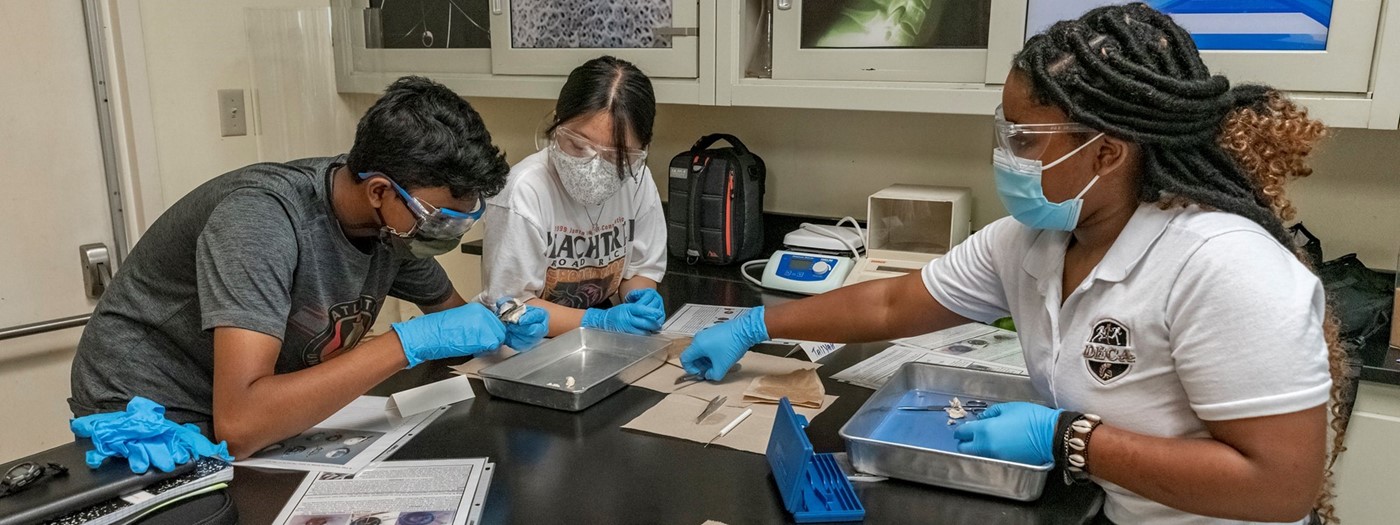 Students dissecting in a lab